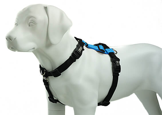 Top paw outlet comfort harness small